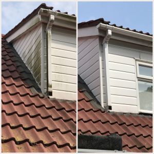 Cladding Clean Before and After
