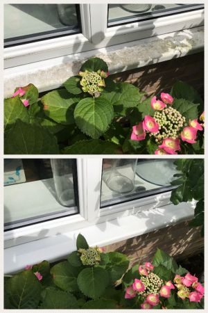 Window Sill Before and After