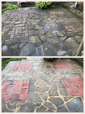 Before and After Softwashing Lichen Removal 